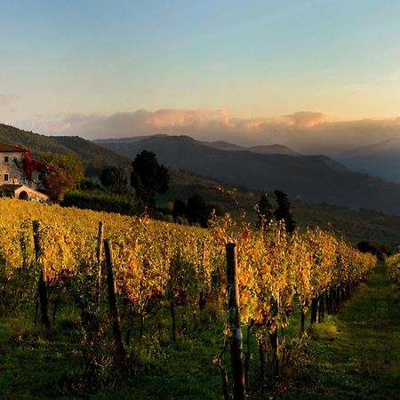 Agriturismo Fattoria Lavacchio Понтассьеве Экстерьер фото