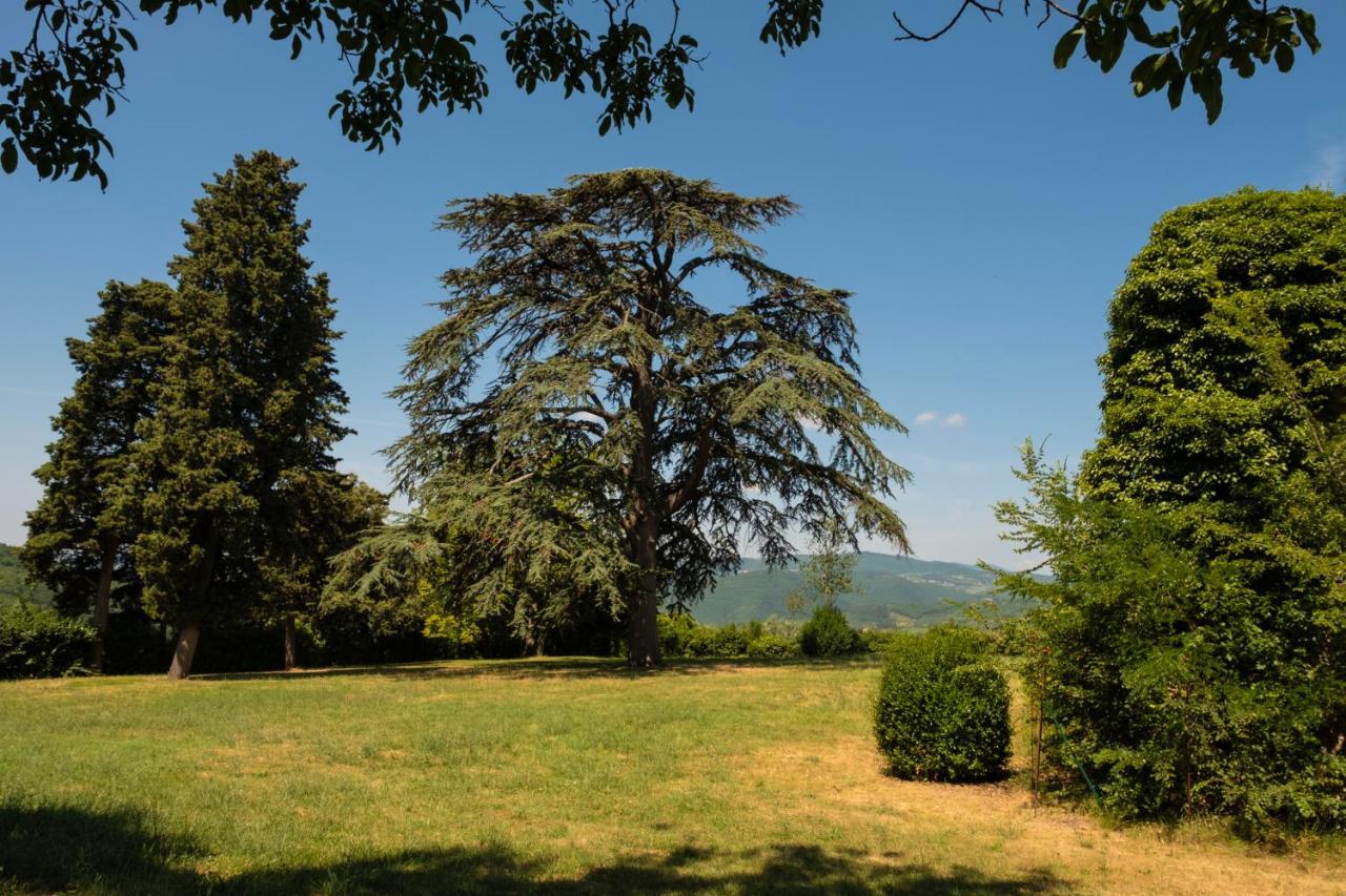 Agriturismo Fattoria Lavacchio Понтассьеве Экстерьер фото