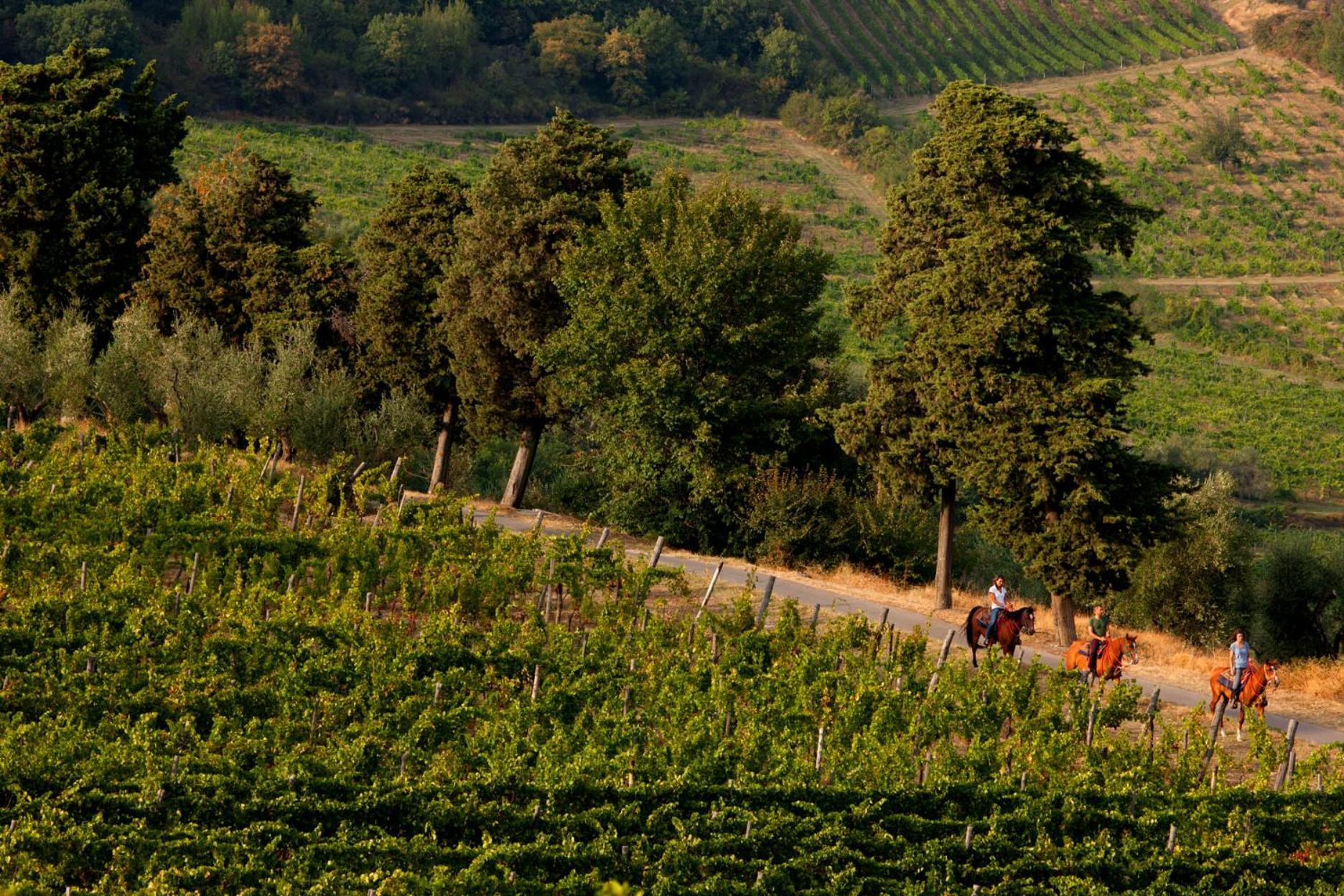 Agriturismo Fattoria Lavacchio Понтассьеве Экстерьер фото