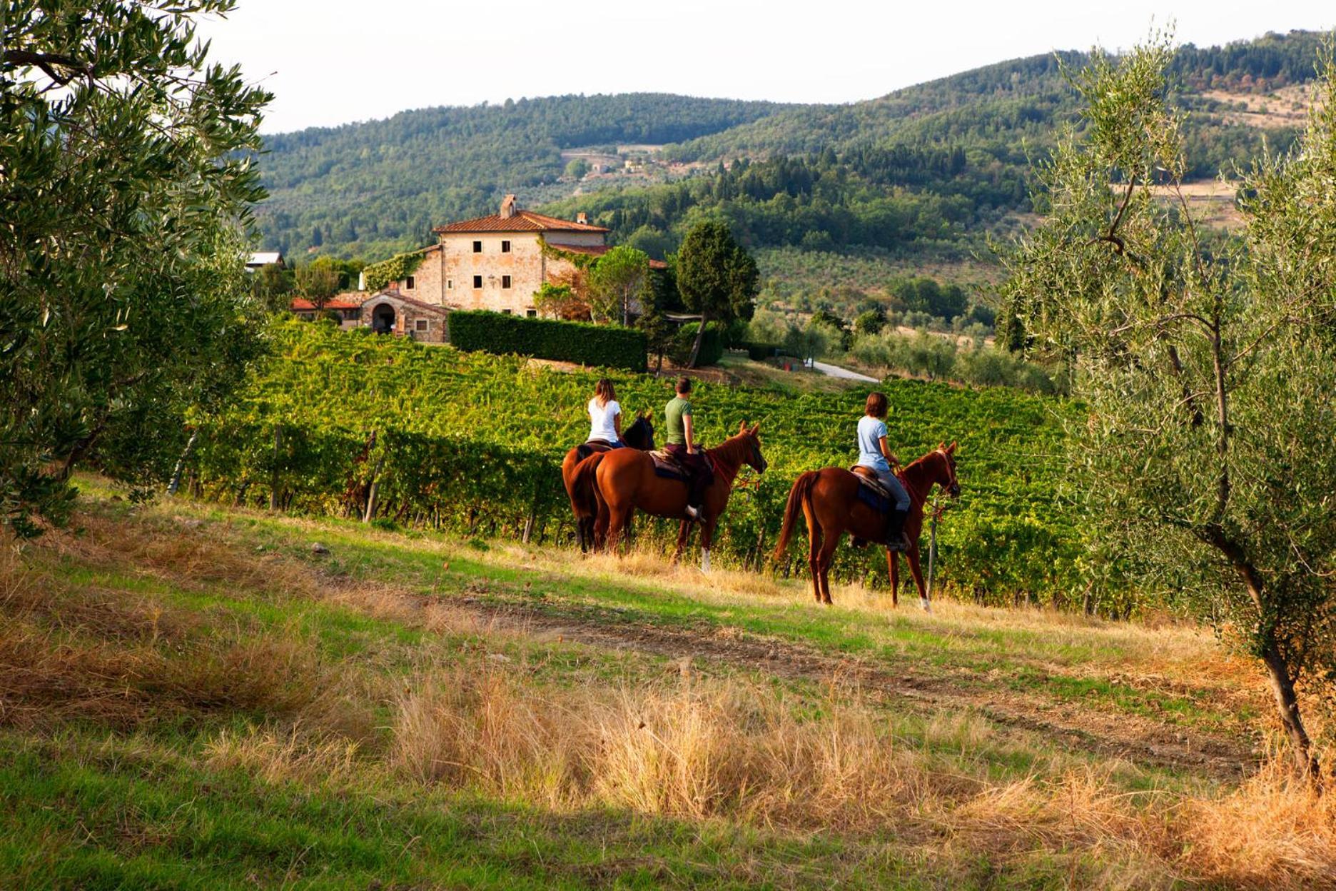 Agriturismo Fattoria Lavacchio Понтассьеве Экстерьер фото