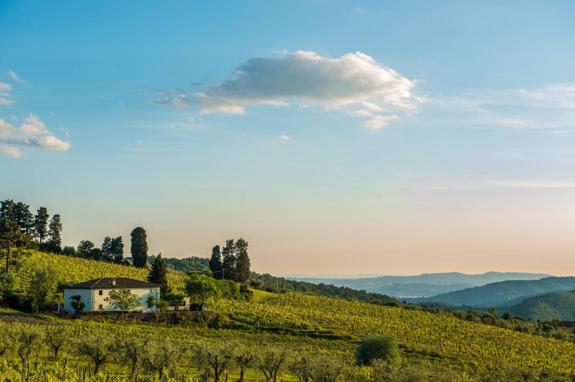 Agriturismo Fattoria Lavacchio Понтассьеве Номер фото