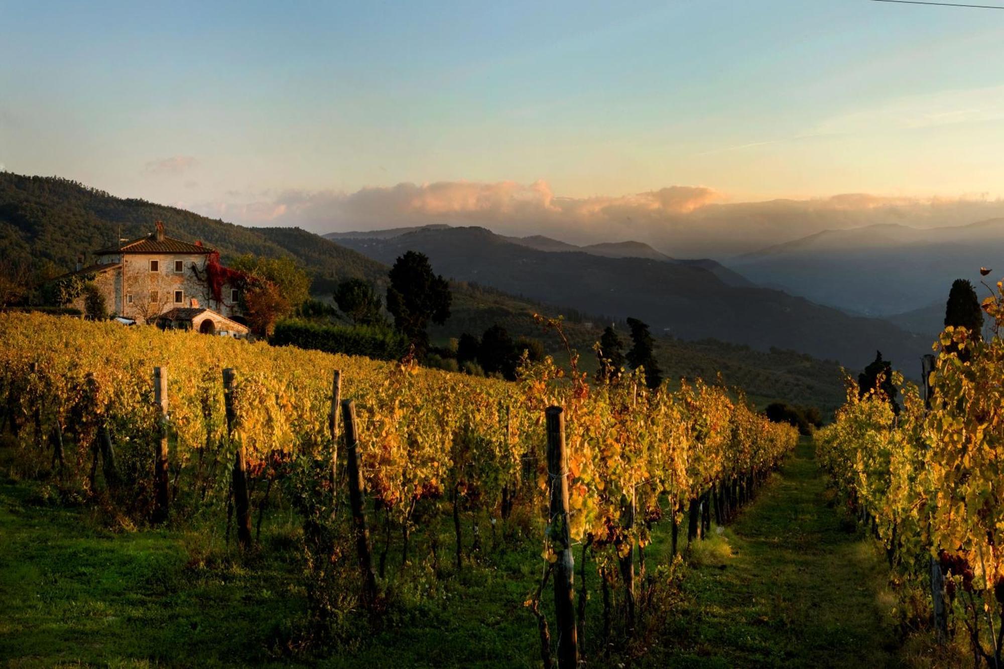 Agriturismo Fattoria Lavacchio Понтассьеве Экстерьер фото